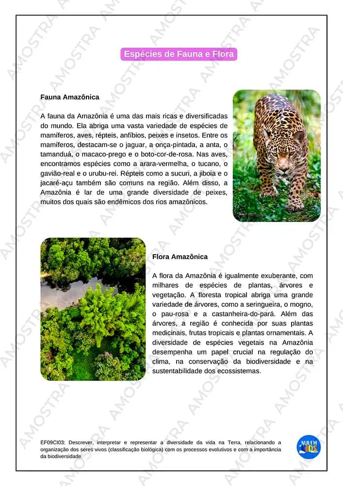 Atividades de Estudos Amazônicos 6º ao 9º Ano - Miniatura 2