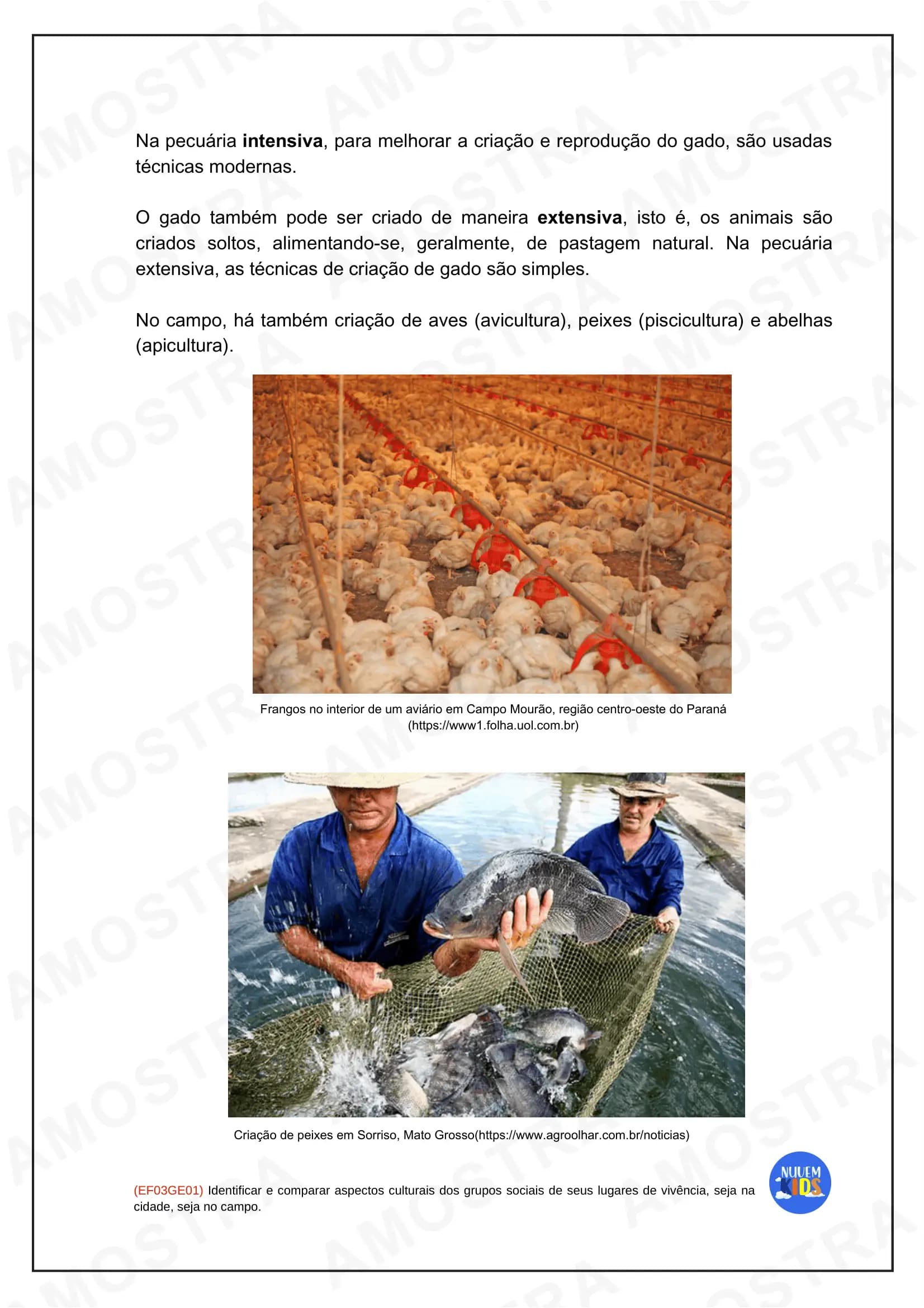 Atividades do 3º Ano do Fundamental 1 - Miniatura 13