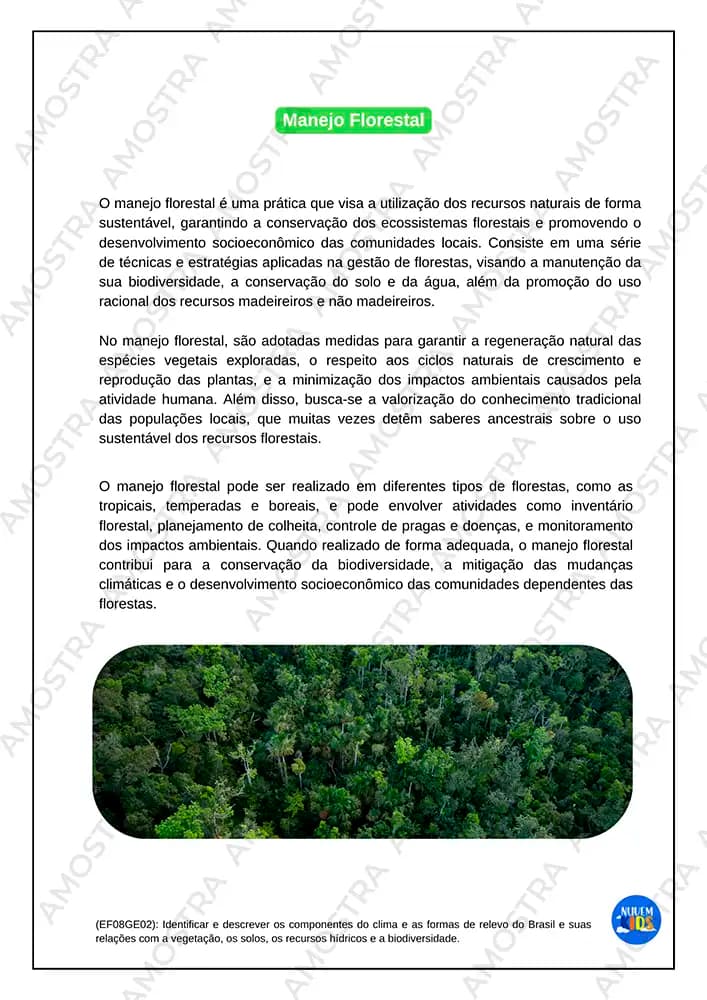 Atividades de Estudos Amazônicos 6º ao 9º Ano - Miniatura 7