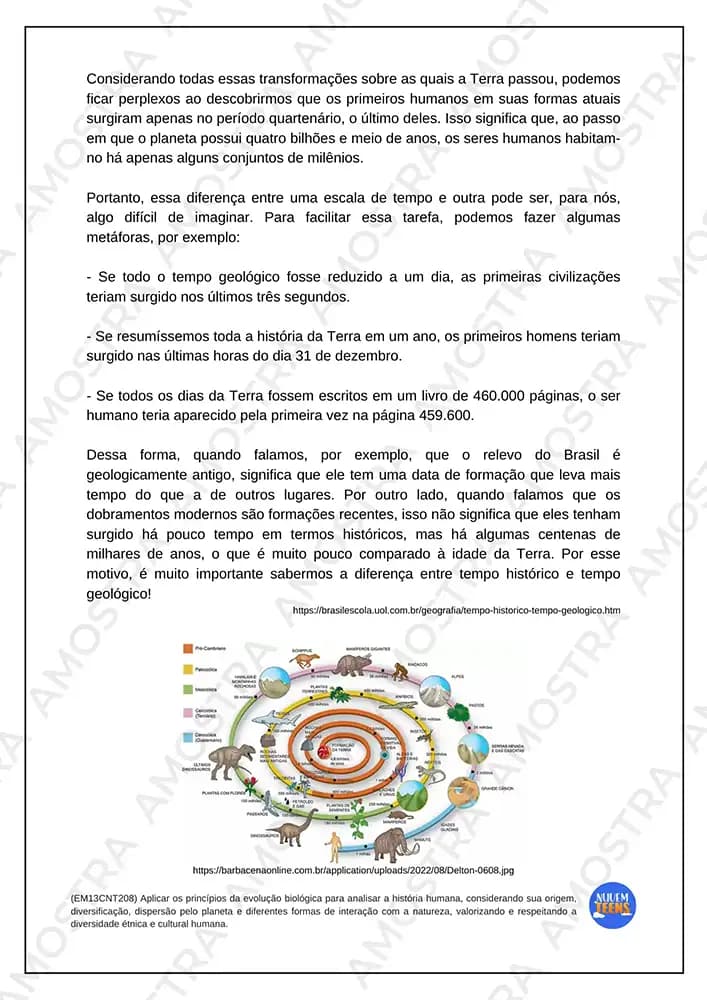 Atividades de Biologia Ensino Médio - Miniatura 4