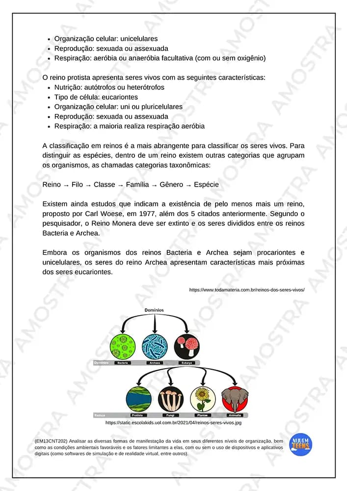 Atividades de Biologia Ensino Médio - Miniatura 3