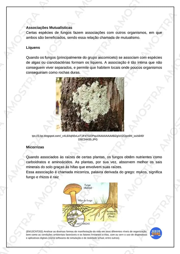 Atividades de Biologia Ensino Médio - Miniatura 5