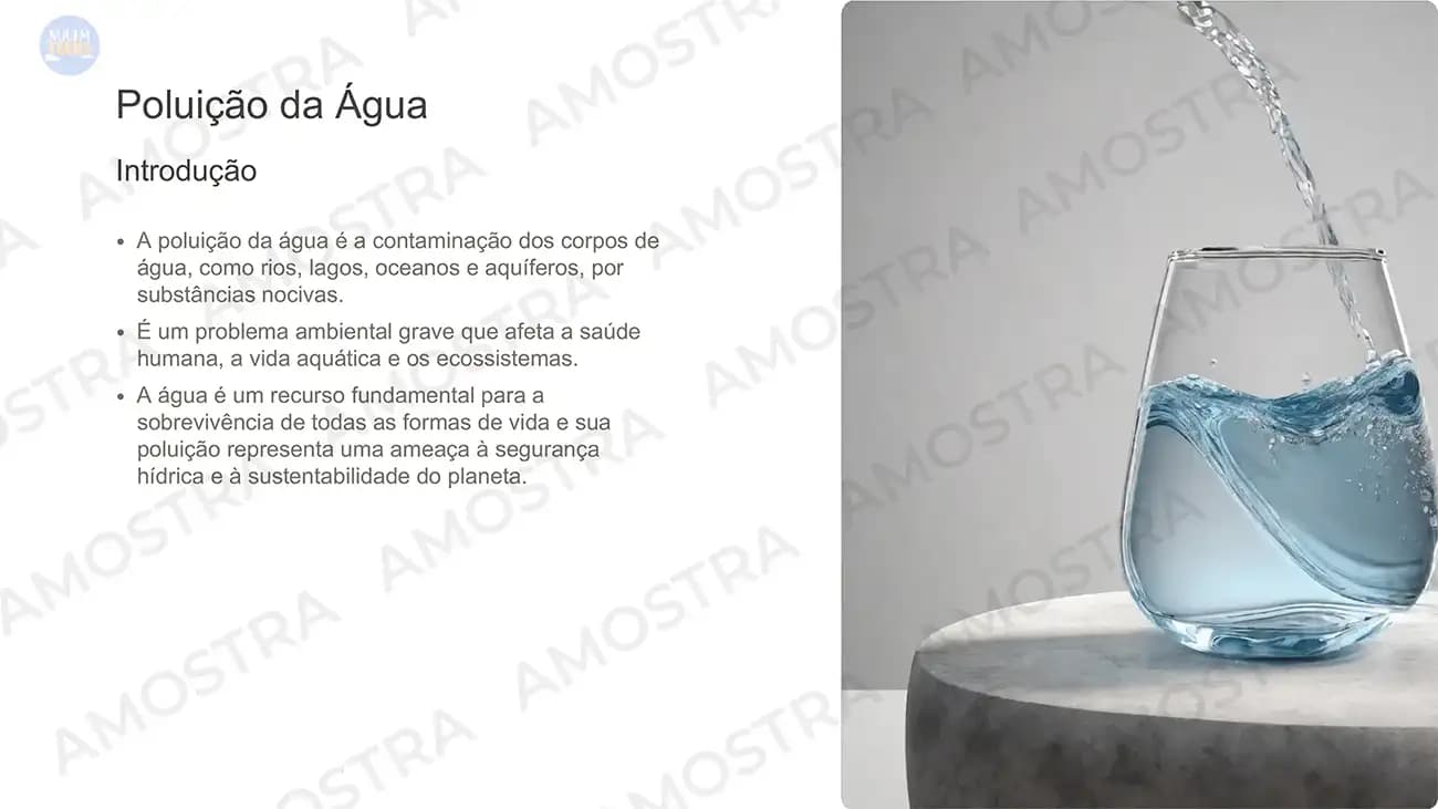 Aulas prontas de Sociologia 1º ao 3º Ano - Miniatura 4