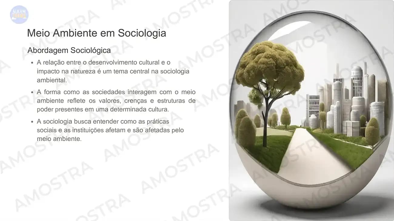 Aulas prontas de Sociologia 1º ao 3º Ano - Miniatura 2