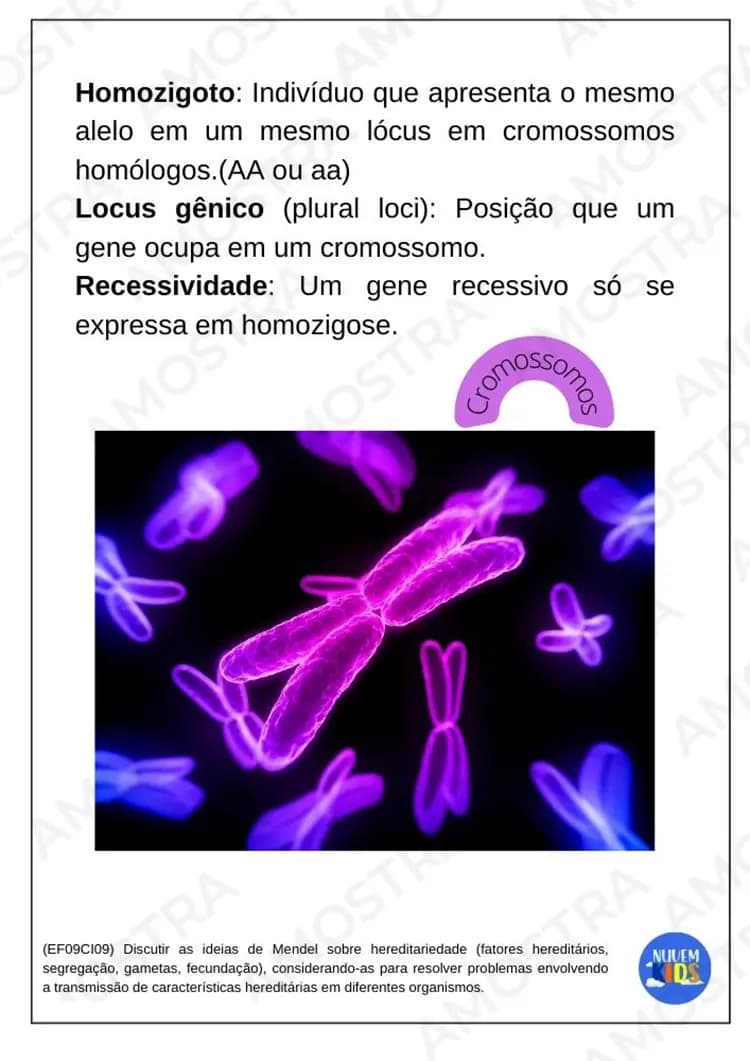 Kit de Atividades para Ciências 6º ao 9º Ano - Miniatura 4