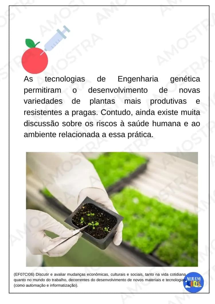 Kit de Atividades para Ciências 6º ao 9º Ano - Miniatura 6