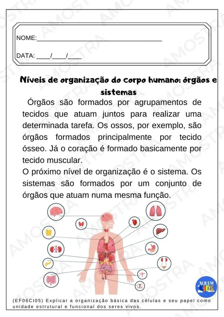 Kit de Atividades para Ciências 6º ao 9º Ano - Miniatura 7
