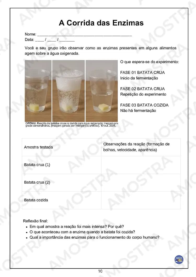 Atividades Interativas Ciências 6º ao 9º Ano - Miniatura 7