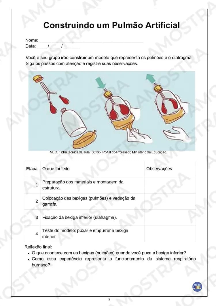 Atividades Interativas Ciências 6º ao 9º Ano - Miniatura 6