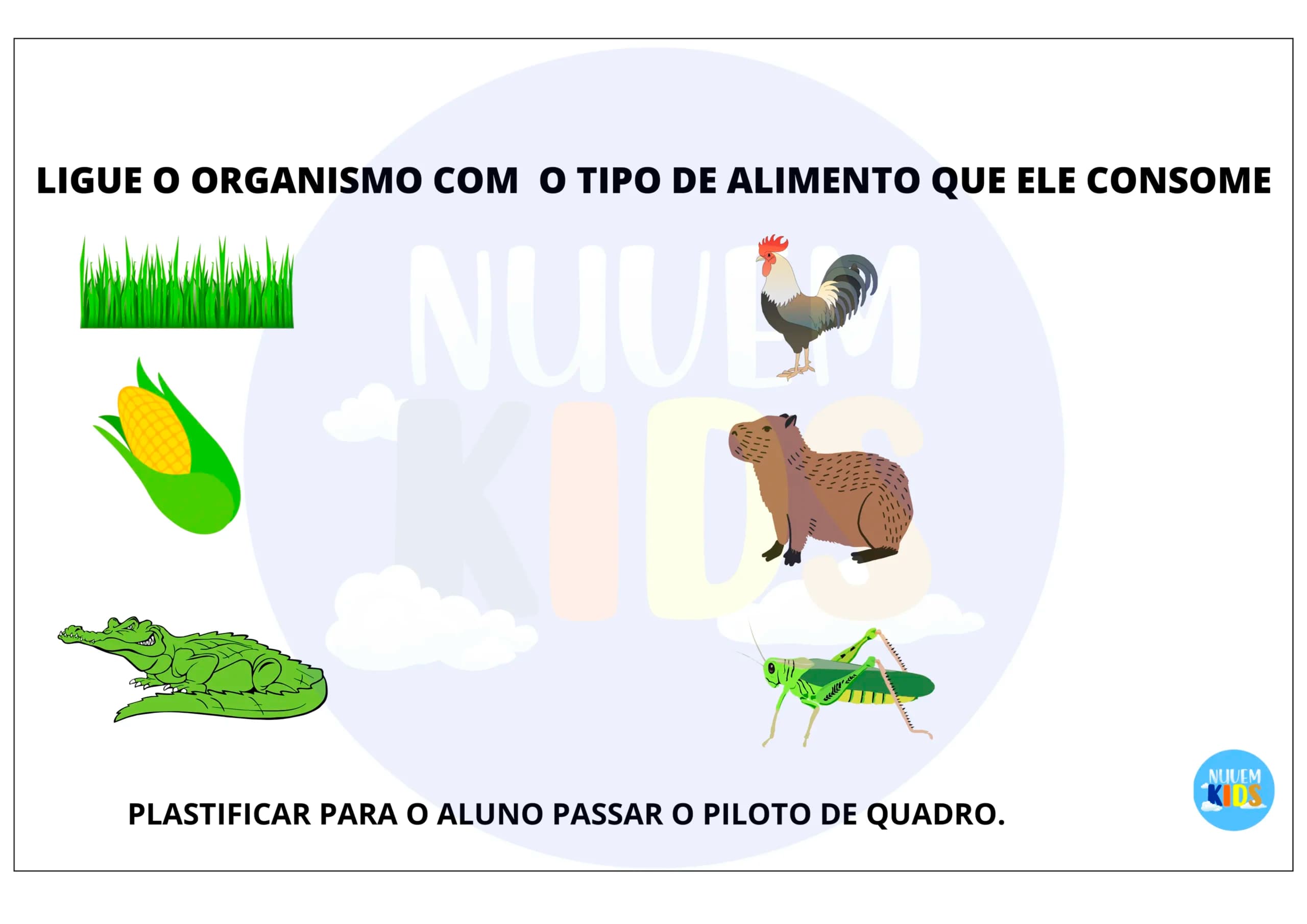 Jogos Pedagógicos de Ciências para Fundamental 1 - Miniatura 3