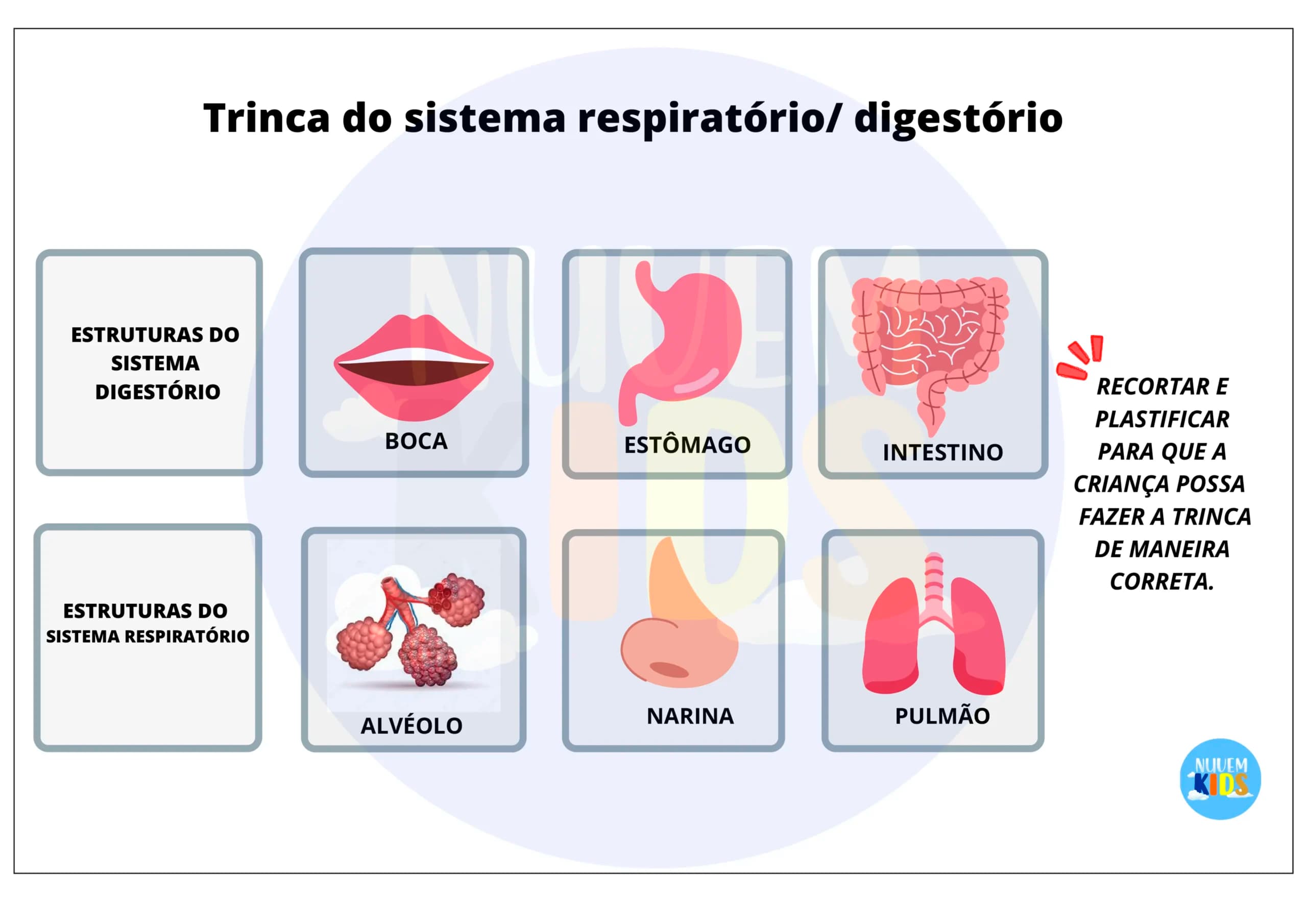 Jogos Pedagógicos de Ciências para Fundamental 1 - Miniatura 8