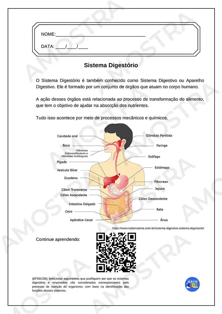 Atividades do 5º Ano do Fundamental 1 - Miniatura 2