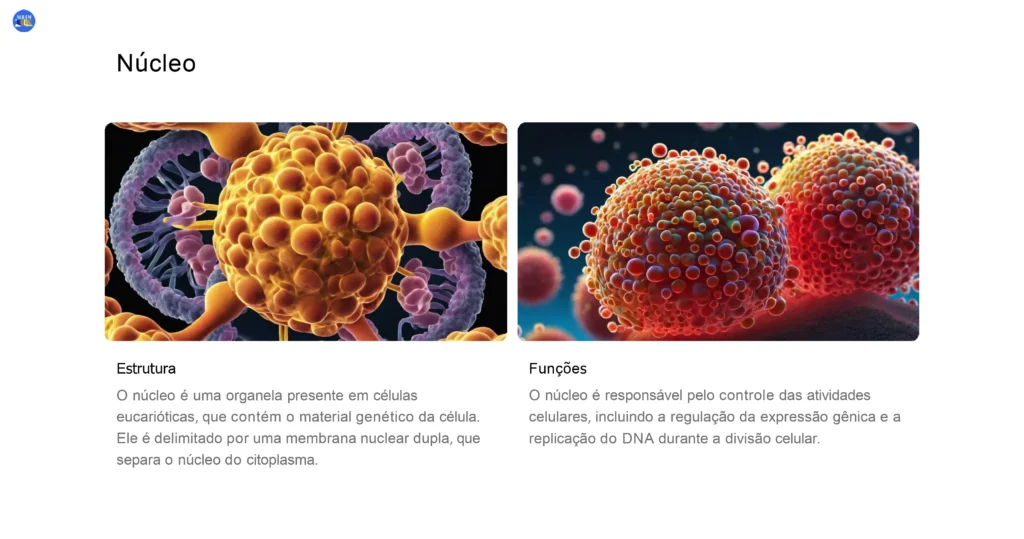 01-ciencias-6-ano-celulas-tecidos-e-os-principais-orgaos-do-corpo-humano-2023-10-30-20-30-26_page-0014-1024x539