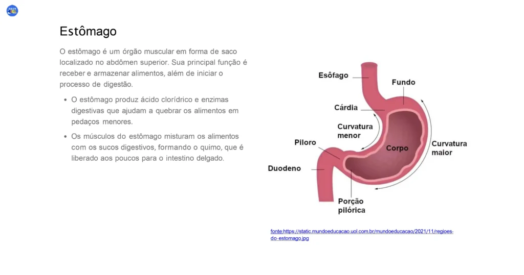01-ciencias-6-ano-celulas-tecidos-e-os-principais-orgaos-do-corpo-humano-2023-10-30-20-30-26_page-0028-1024x539